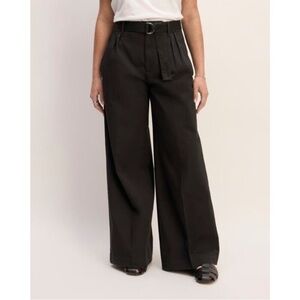 Everlane Pleated Easy Wide Leg Chino Pants Size 4 R Organic Cotton Black‎ NWT